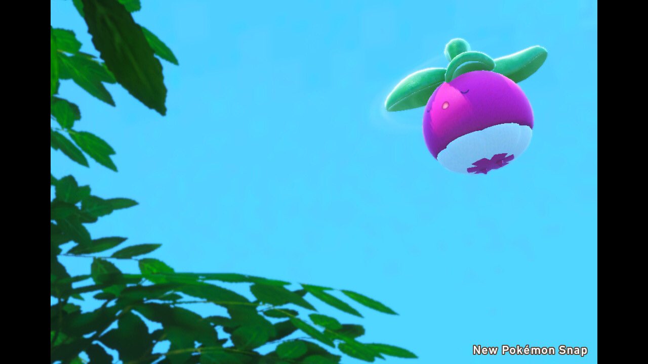 Twitter এ ワンダー 気持ちよさそうに飛ぶアマカジ ポケモンスナップ Newポケモンスナップ T Co R6wb2gkqui ট ইট র