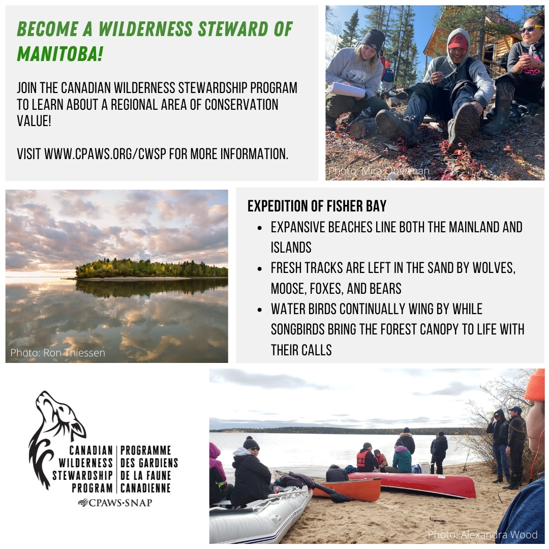 cpaws's tweet photo. Calling all youth in Manitoba! π£π£π£
Are you passionate about exploring and protecting natural areas in your province?
Join the Canadian Wilderness Stewardship Program today, and explore the beautiful Fisher Bay region with us! #CPAWSinAction #CanadaServiceCorps #LeadersToday https://t.co/PfHuJc28MM