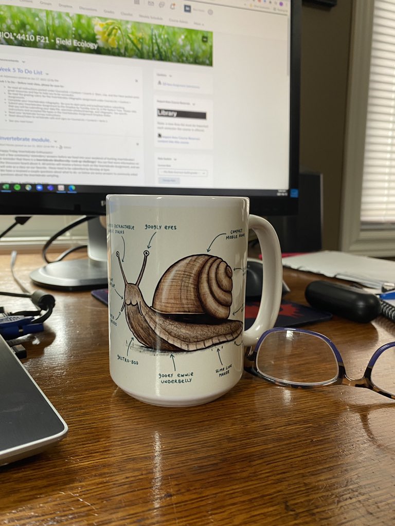 SheriHincks's tweet photo. “However tired you are, whatever the distance is, move to your target! Even if you move as slow as a snail, you will reach there! Move! Either fast or slow, just move!” Getting ready for my day with my new snail mug! Thanks @CaroTrombley @j_erin_g #AmazingTAs #snaillove https://t.co/9doNawUXlU