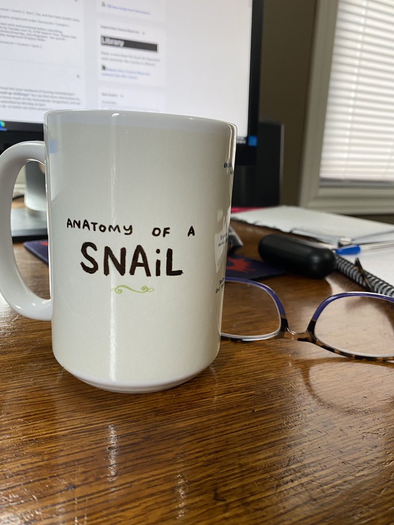 SheriHincks's tweet photo. “However tired you are, whatever the distance is, move to your target! Even if you move as slow as a snail, you will reach there! Move! Either fast or slow, just move!” Getting ready for my day with my new snail mug! Thanks @CaroTrombley @j_erin_g #AmazingTAs #snaillove https://t.co/9doNawUXlU