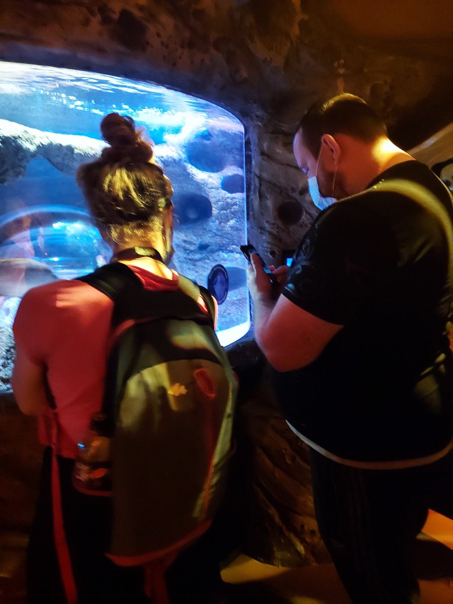 Lovely time out with some of our fabulous patients 
<a href="/SEALIFEAquarium/">SEA LIFE Aquarium</a> 

Enjoyed by myself and <a href="/AlexMer62978236/">Alex Meredith</a> 
#goodtimes
<a href="/PhillipaDorey/">Phillipa Dorey</a> @MelanieGreaves3 @MandyS99433932