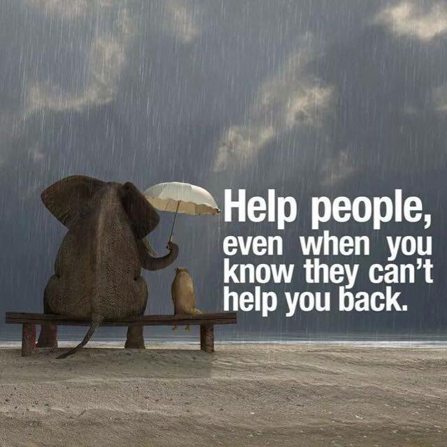 ONTSpecialNeeds tweet media