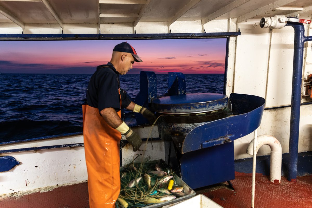 PresteveFoods's tweet photo. Today is #GoFishingDay and if you can’t get on the water to catch your own, Presteve has you covered! Shop our line of fresh, wild-caught fish at your local grocery store, or our retail locations in Wheatley or Kingsville. https://t.co/KWyfhTzskq