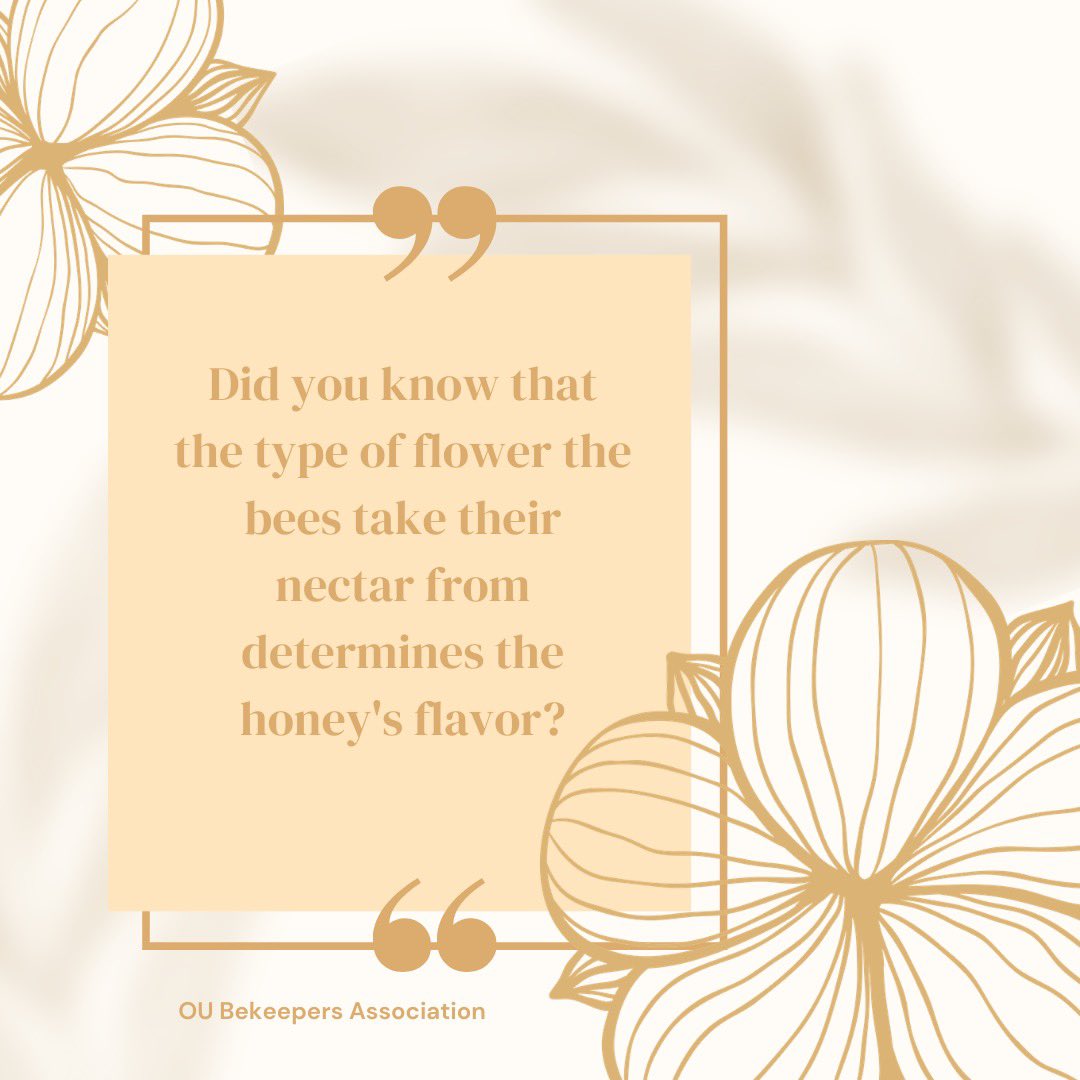OUBeeClub's tweet image. Fun Bee Fact #2 🐝
#bees #savethebees #beekeeping
