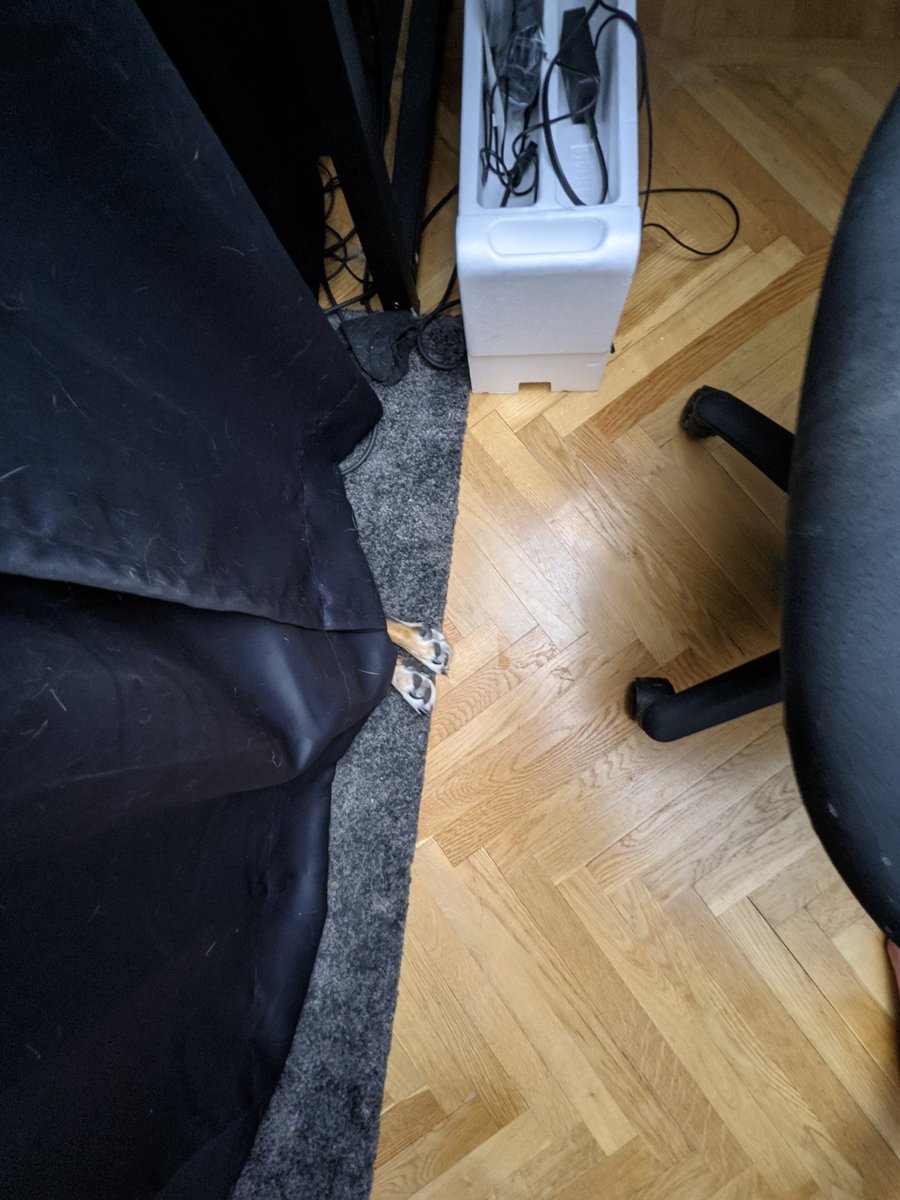 Sprout_Loud's tweet photo. Tiny feet's! That is all https://t.co/dxlCJUwh3C