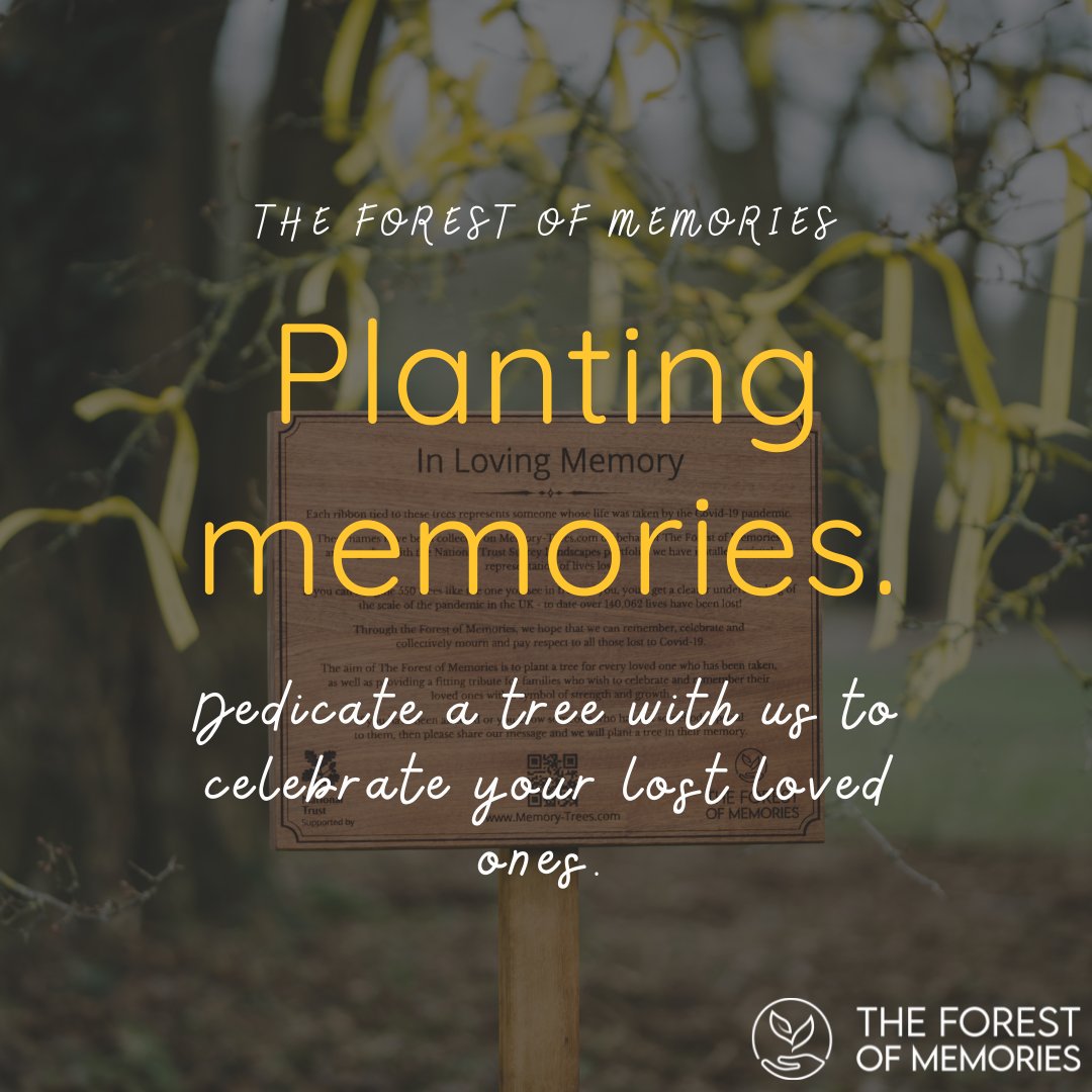 Best Plant A Tree In Memory at Debra Banh blog