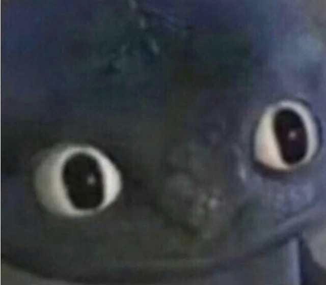 HenkSarah's tweet photo. When you swing your leg over a colt for the first time and both just sit there looking at each other like this waiting to see whose gunna lose their shit first https://t.co/0noSnhnvO2