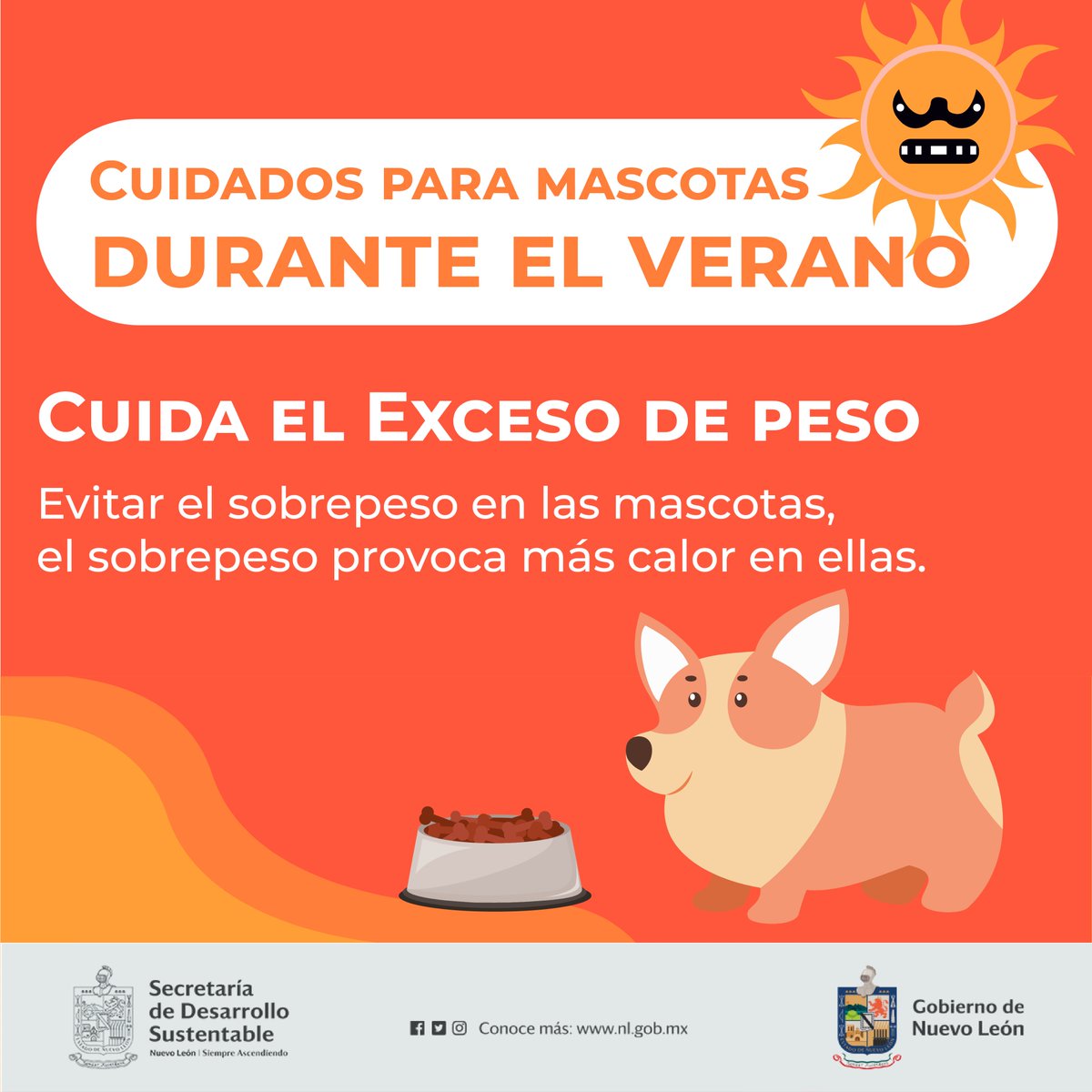 MedioAmbienteNL's tweet photo. Una mascota muy gordita puede estar sufriendo, asegúrate que tenga el peso adecuado, ya que de no ser así, es posible que sienta más calor de lo normal y enferme, siempre es bueno mantener en buena forma a nuestros animalitos.
#BienestarAnimal #GolpeDeCalor https://t.co/QiDL89Krnf