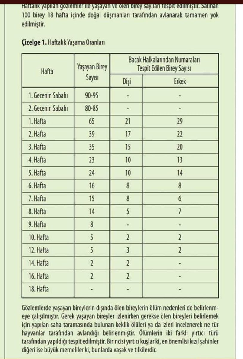 Sayın <a href="/bekirpakdemirli/">Dr. Bekir Pakdemirli</a> bakanım bu yanlıştan dönelim. DKMP olarak 
Kafeste yetiştirip doğaya saldığınız tek bir kuş yaşamıyor, yalan ortaya çıkmasın diyor halkalama yapmıyorlar. Avlak kapatmak için oynanan bu oyuna dur diyelim. Pilot bölge seçelim melezleme yapmayalım
#AvcıKorur