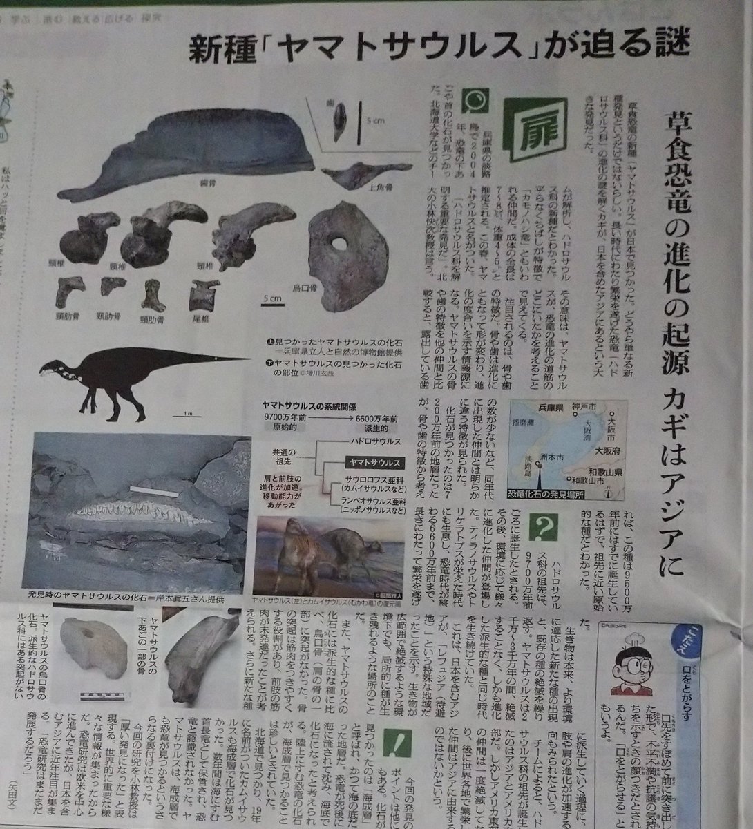 男女平等 男女平等