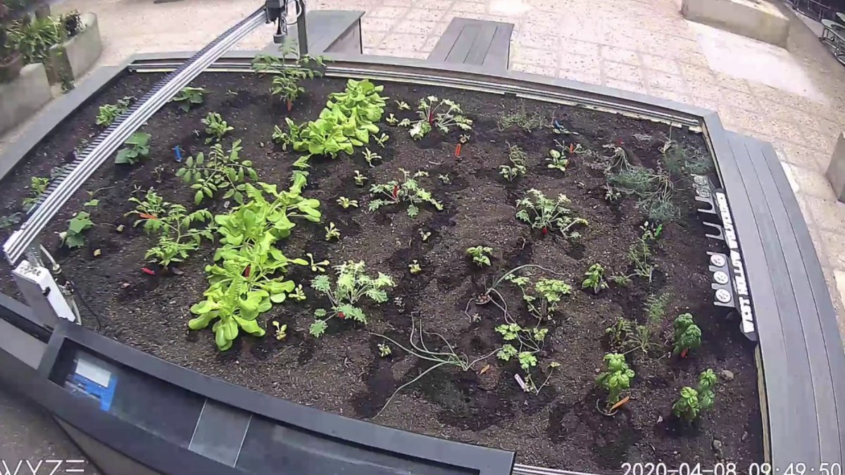 Ioteqhtx's tweet photo. Check out this technology that takes care of your flower beds, it can plant, weed and maintain your vegetable and herb gardens for you while!  Teach your kids to program and let them plant their own gardens.  #IoT #Robotic #TechnologyNews #edgecontroller #gateways #me #you

F ... https://t.co/Wi9vOGsuE1
