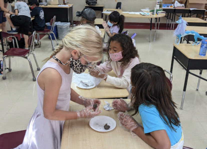 LVUSDLibraries's tweet photo. Another great day at Camp #LVLearns. Special thanks to the @SantaMonicaMtns @CAStateParks for leading us in owl pellet dissections and teaching us about our environment. #lvusd https://t.co/AkiUQ73fRW