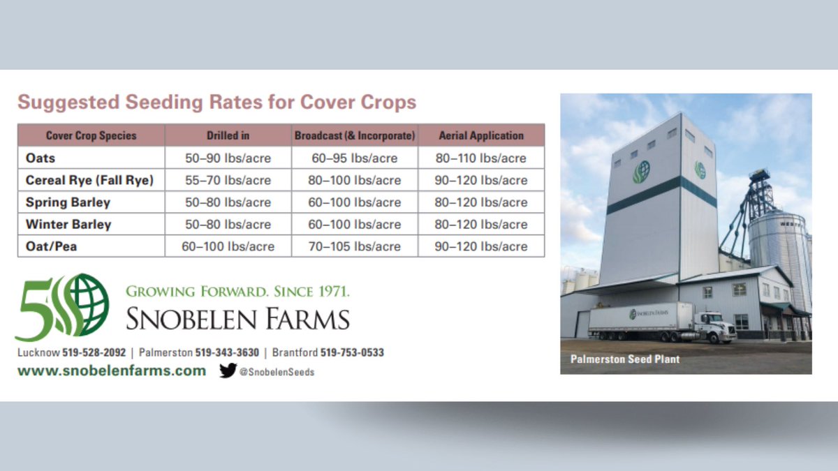 Cover crops are a great way to add organic matter to your soil. Speak to your dealer or a Snobelen Farms staff member to see how you could benefit from planting a cover crop after wheat this season! #CoverCrop #OntAg