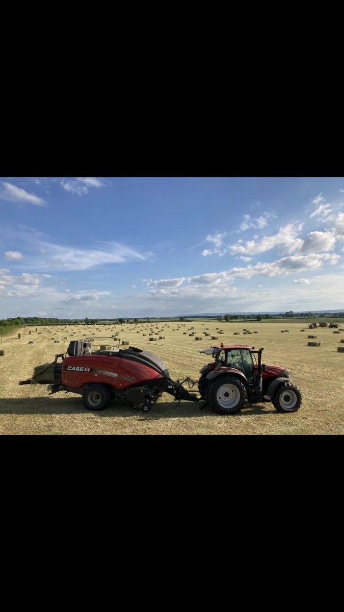 Maplehurst Farm tweet media