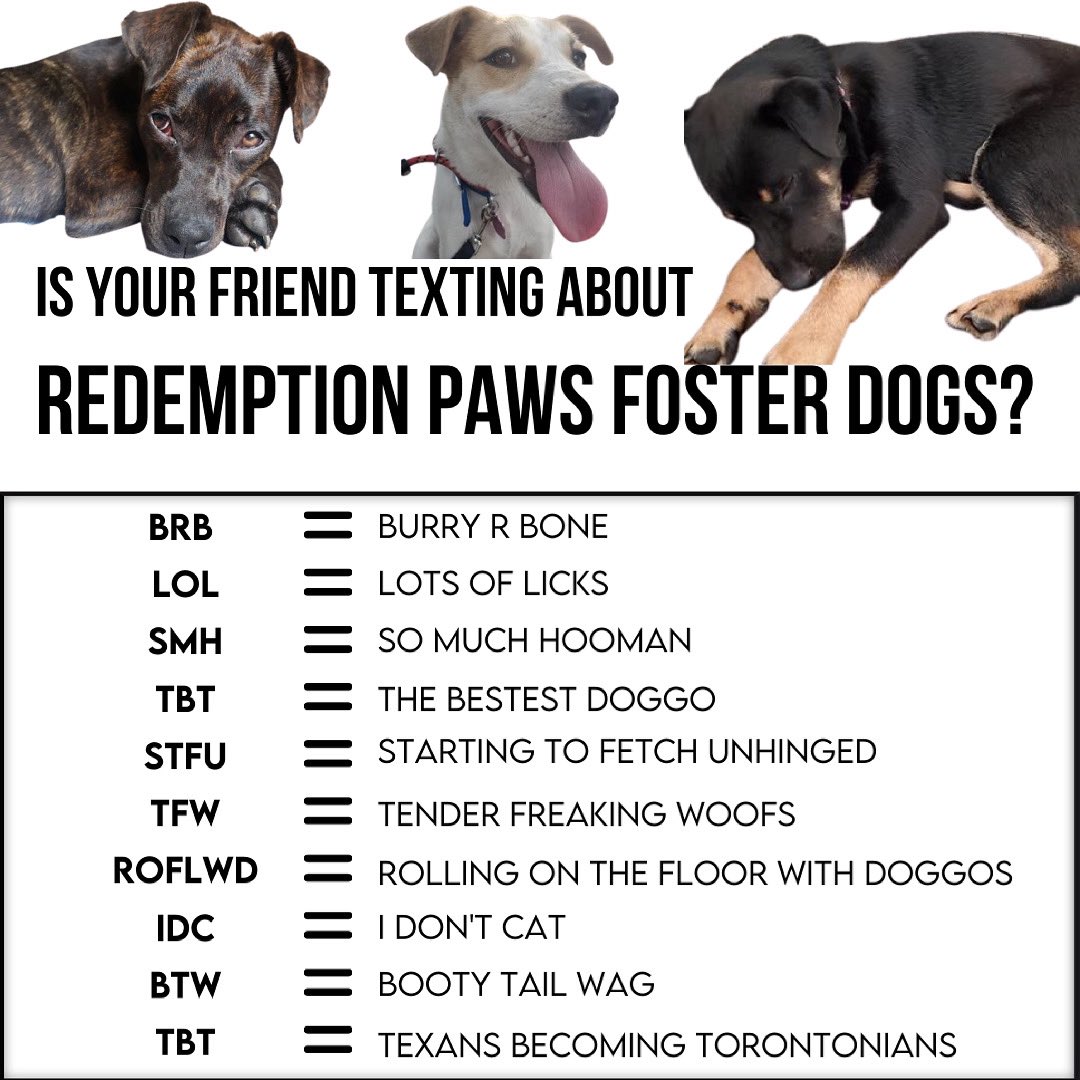 Redemptionpawsfosters Twitter Search Twitter Redemptionpawsfosters Twitter Search Twitter