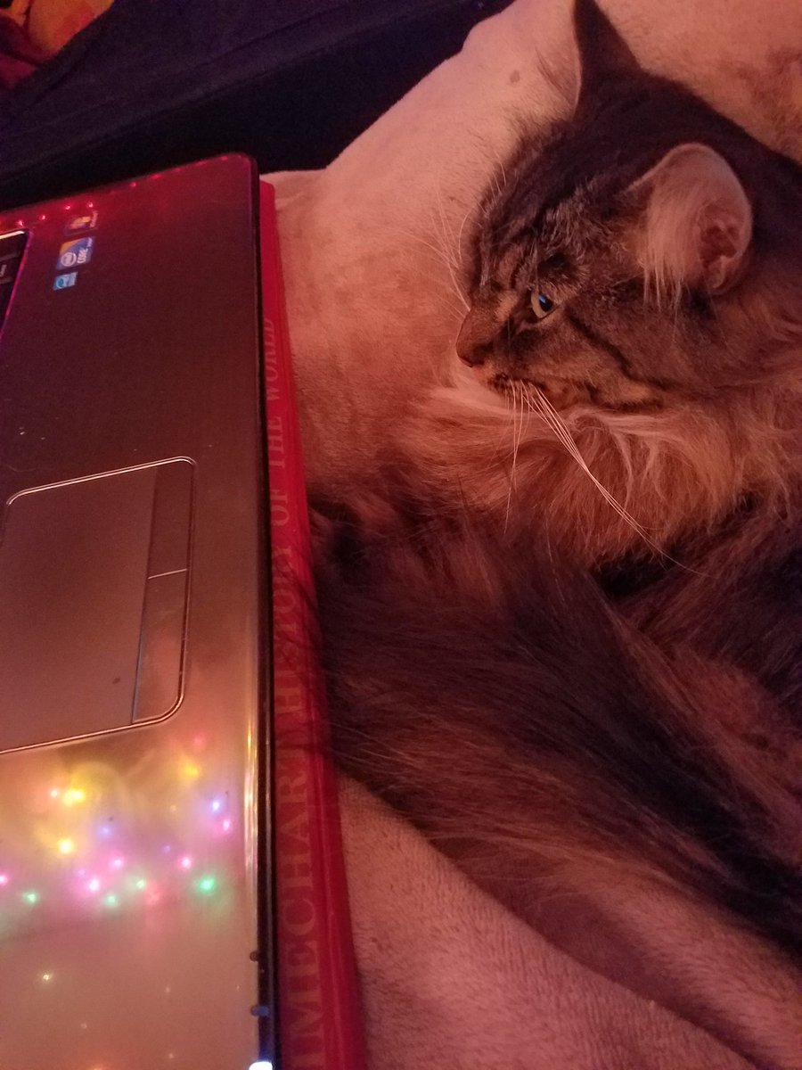 Thrandiana's tweet image. Senshi helping me in #editingHELL