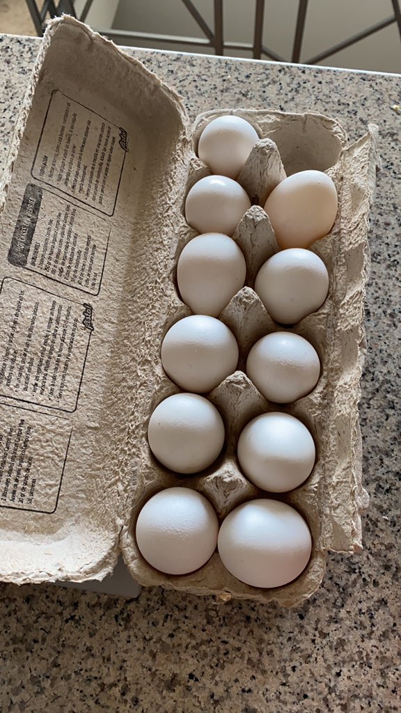 FireIightsFmnd's tweet photo. @AgriCert @campo_vivo viví el peor asco, abrí una caja nueva de huevos que compré en Superama y salió un huevo fecundado y olía asqueroso. #sepasandeorgánicos #campovivoestavivo #huevosconembrion https://t.co/U14N0pzaat