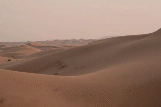 “Sometimes one can tire of sand.. being alone..”