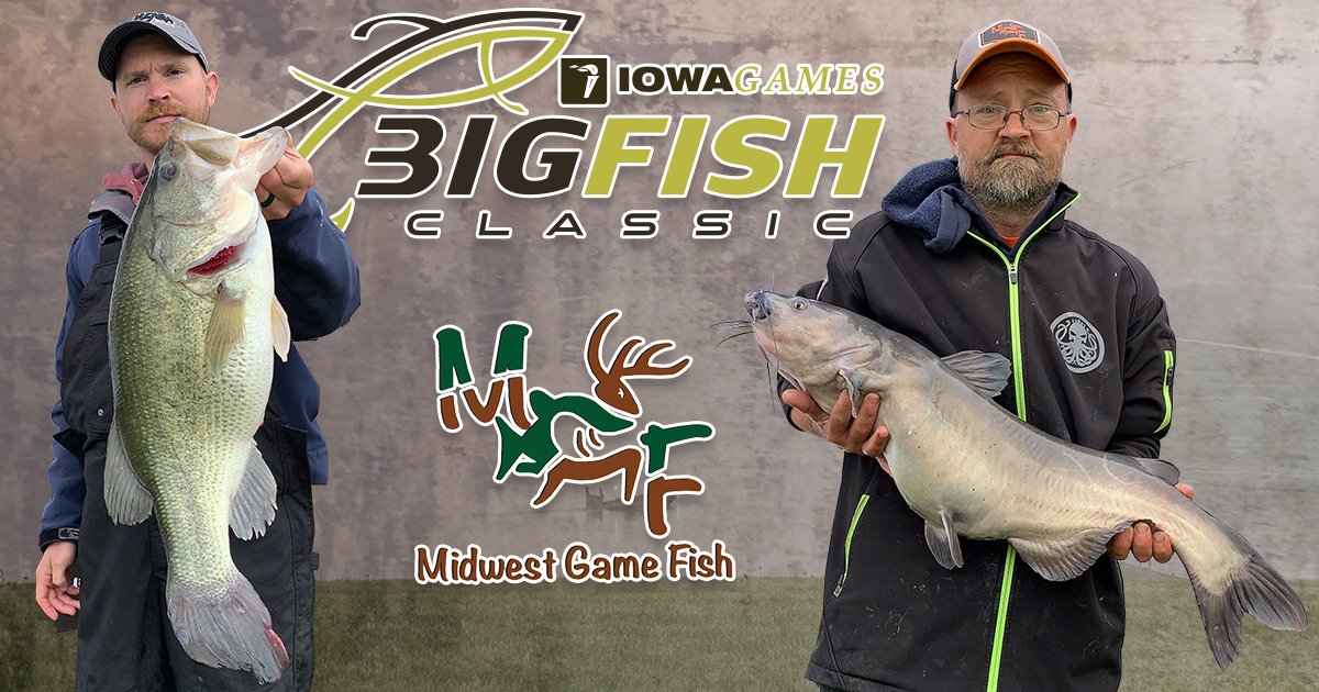 Iowa Games on Twitter "Happy National Go Fishing Day!!! Here's a 