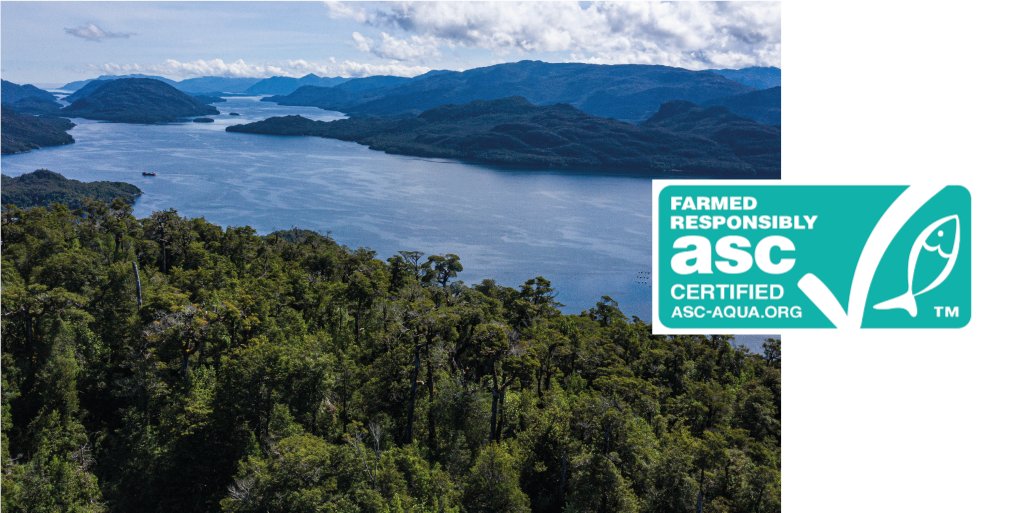¿Qué es ASC? El Aquaculture Stewardship Council es una organización independiente sin fines de lucro y una organización de etiquetado que establece un protocolo sobre productos del mar cultivados al tiempo que garantiza una acuicultura sostenible.