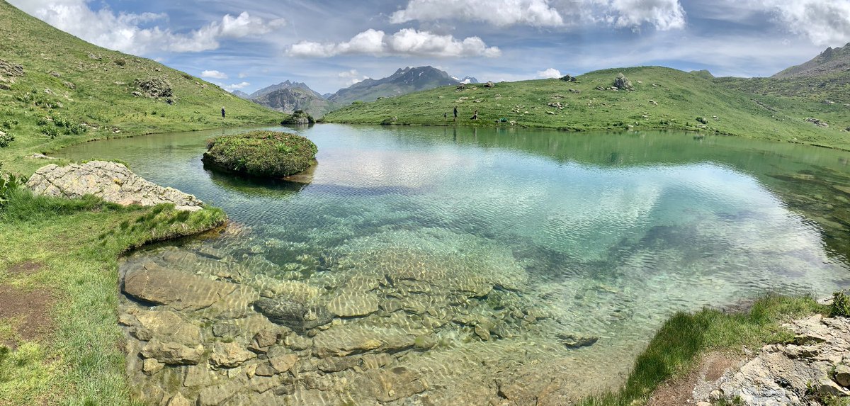 Con luz propia 🌟 #cosecha2021