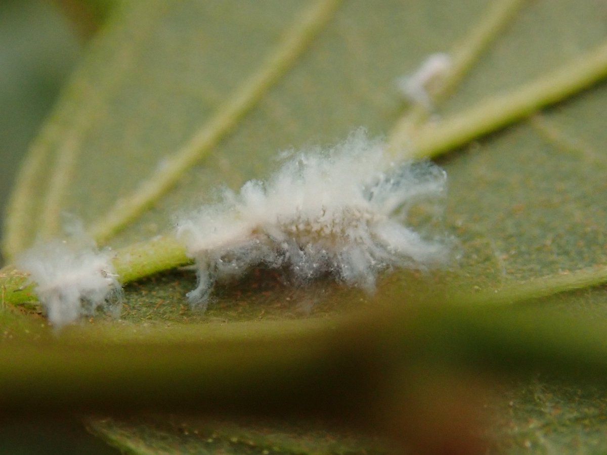 S7uetripixwnrm S7uetripixwnrm