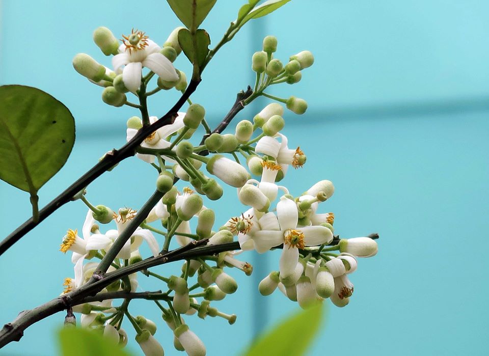 Ben Liao tweet media