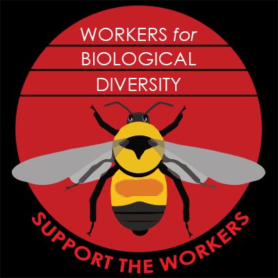 PeccaryNotPig's tweet photo. Worker bees unite! 

Proud to join Workers for Biological Diversity. Our union will help build a stronger organization and a better environment for those fighting for justice, wildlife and wild places. #WorkersforBioDiv 

Follow @Workers4BioDiv for more. https://t.co/oquJAhdtK0