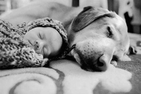 @wawinaApr @newworlddd555 Children and dogs have a great feeling