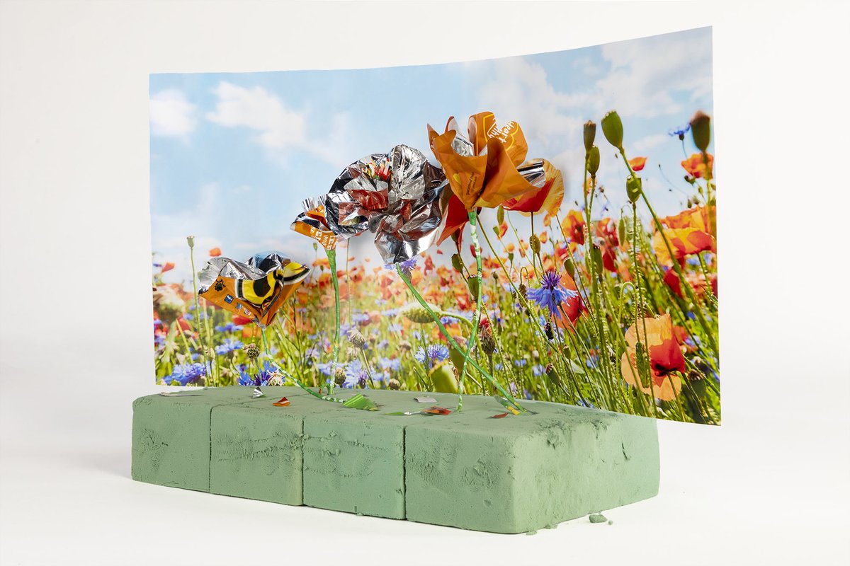 MfaReviews's tweet photo. Deadline extended to June 30 - Featuring the work of applicants to “Homecoming 2021.” - Yuxin Guan https://t.co/KSM7Oowouf

@FujifilmX_US @realphotoshow @BooksmartStudio #floatphotoMagazine #jkcgallery #mfaphotographyreviews #portfoliofeature #fujifilmgfx #studentopportunity https://t.co/rJUMqdUMzk