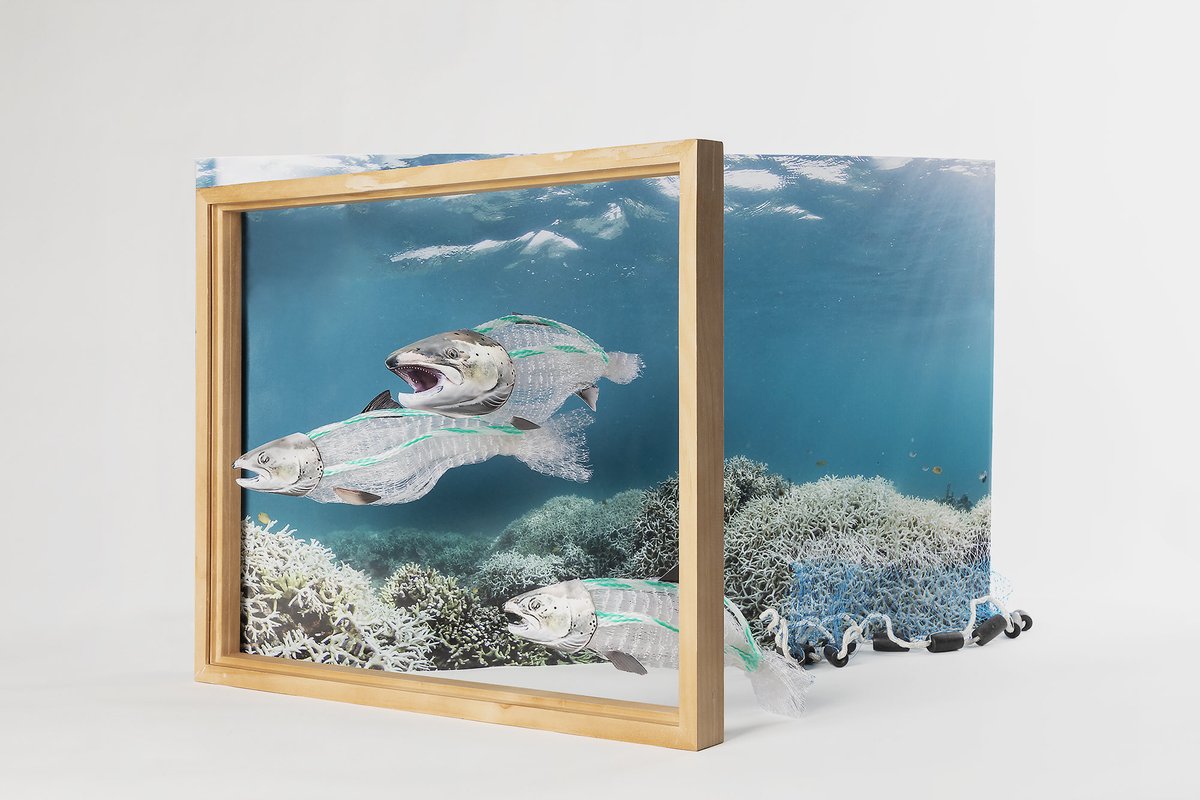 MfaReviews's tweet photo. Deadline extended to June 30 - Featuring the work of applicants to “Homecoming 2021.” - Yuxin Guan https://t.co/KSM7Oowouf

@FujifilmX_US @realphotoshow @BooksmartStudio #floatphotoMagazine #jkcgallery #mfaphotographyreviews #portfoliofeature #fujifilmgfx #studentopportunity https://t.co/rJUMqdUMzk