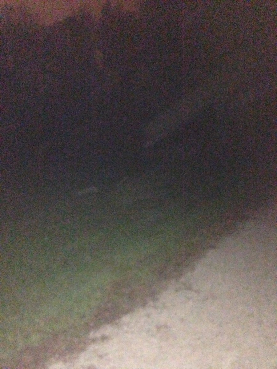 TheCouncilPod7's tweet photo. To all that have listened to Episode 19, this is the picture @A_Spreitzer22 referred to from the haunted cemetery. Turn your brightness up and RT when you see it 😳 @sam_siebers1526 @mitchmiller28 @rpullara17 @g_pfief_ https://t.co/0UVRTJXI9n