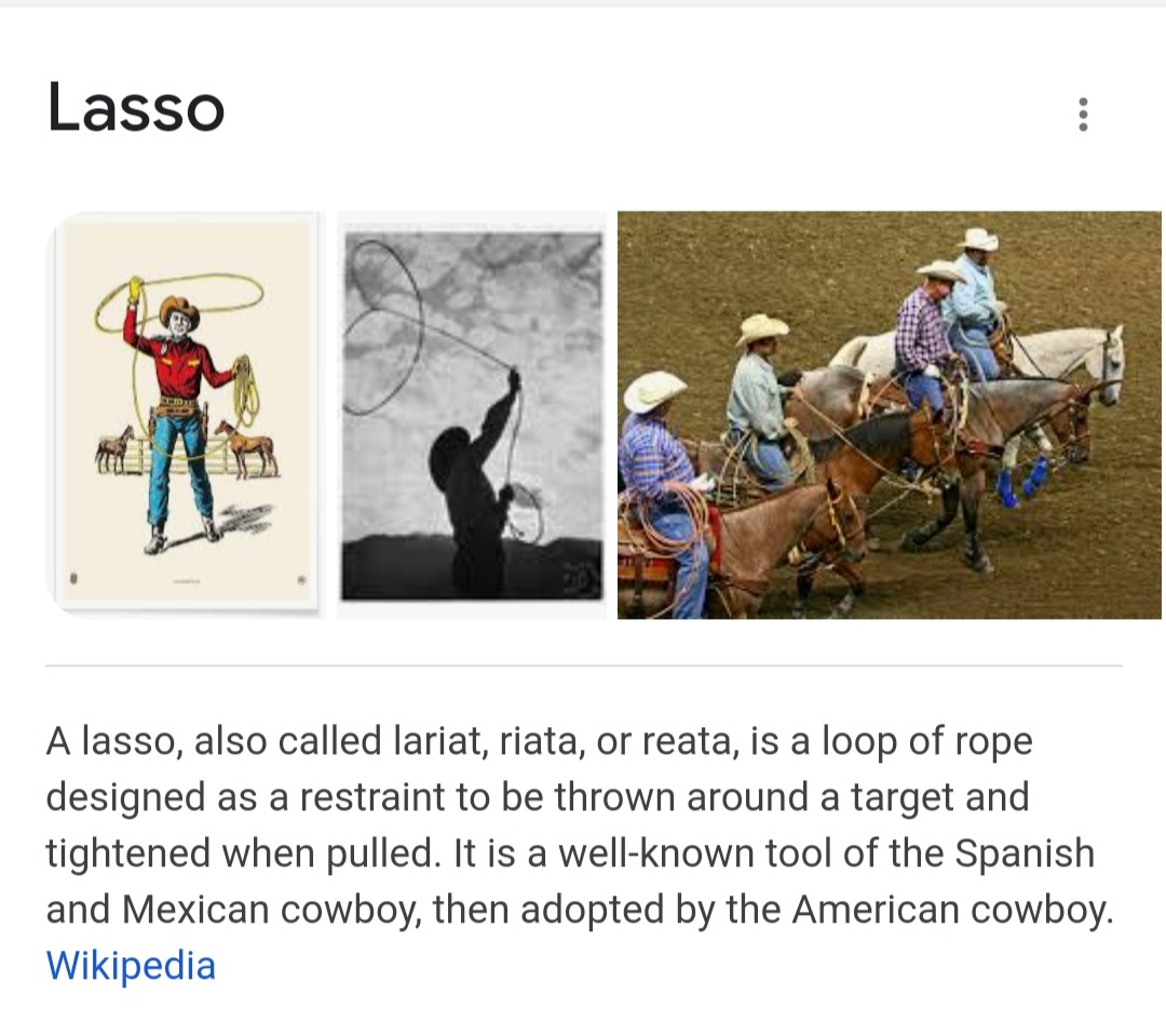LisaAbbin's tweet photo. @thegridkid What's the reasoning for "lariat" being acceptable but "riata" being unacceptable? Thx for looping me in. 🤣 https://t.co/7A6Jgf4tHb