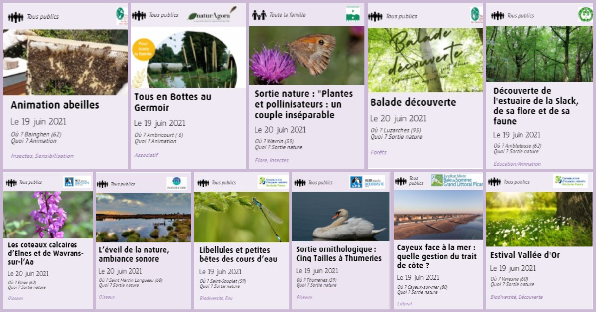 PatNat_HdF's tweet photo. #Weekend 🌿Un agenda au top sur le site du Patrimoine naturel des #hautsdefrance ! 🐝🌺⛅️Sortez, découvrez, participez ! 
🌱Des chantiers, animations et sorties #nature vous attendent dans l'#Agenda du site :
https://t.co/Z4ptzc6rd0 https://t.co/qcgXxNy46X
