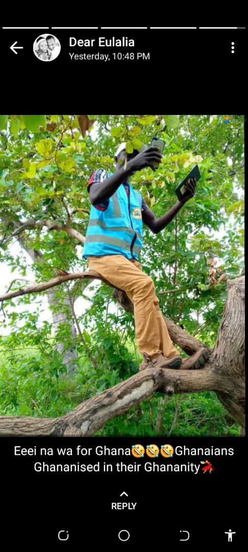 bonkena81's tweet photo. 😆😂😅🤣😁 this country erh 🤔, it to be fixed paaa. In this 2021 , one have to climb trees before get accessible network. #FixTheCountry #CommunicationMinister https://t.co/DIbaGoeNPT