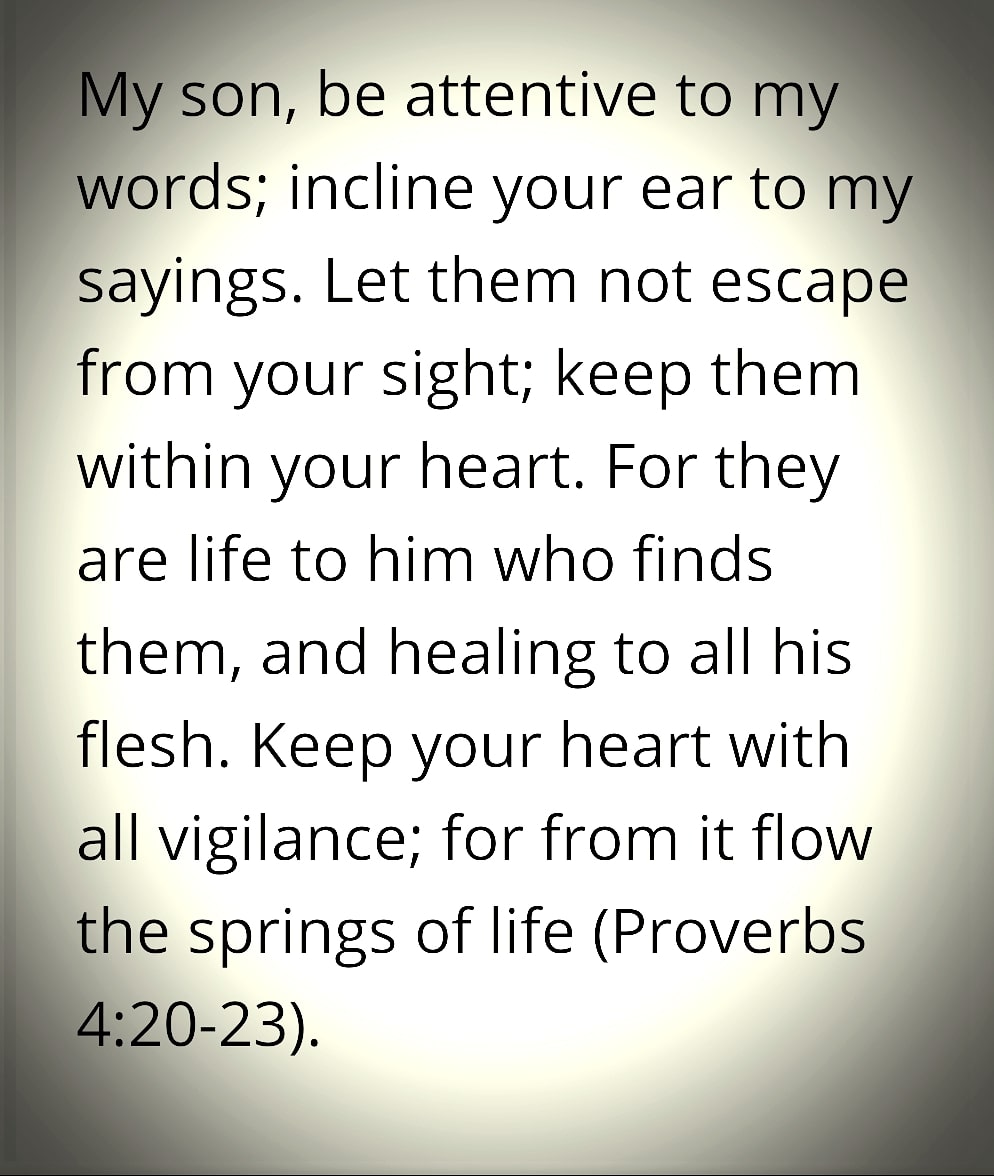Catholichurch10's tweet photo. #proverbs420 https://t.co/YfoPaMNYip