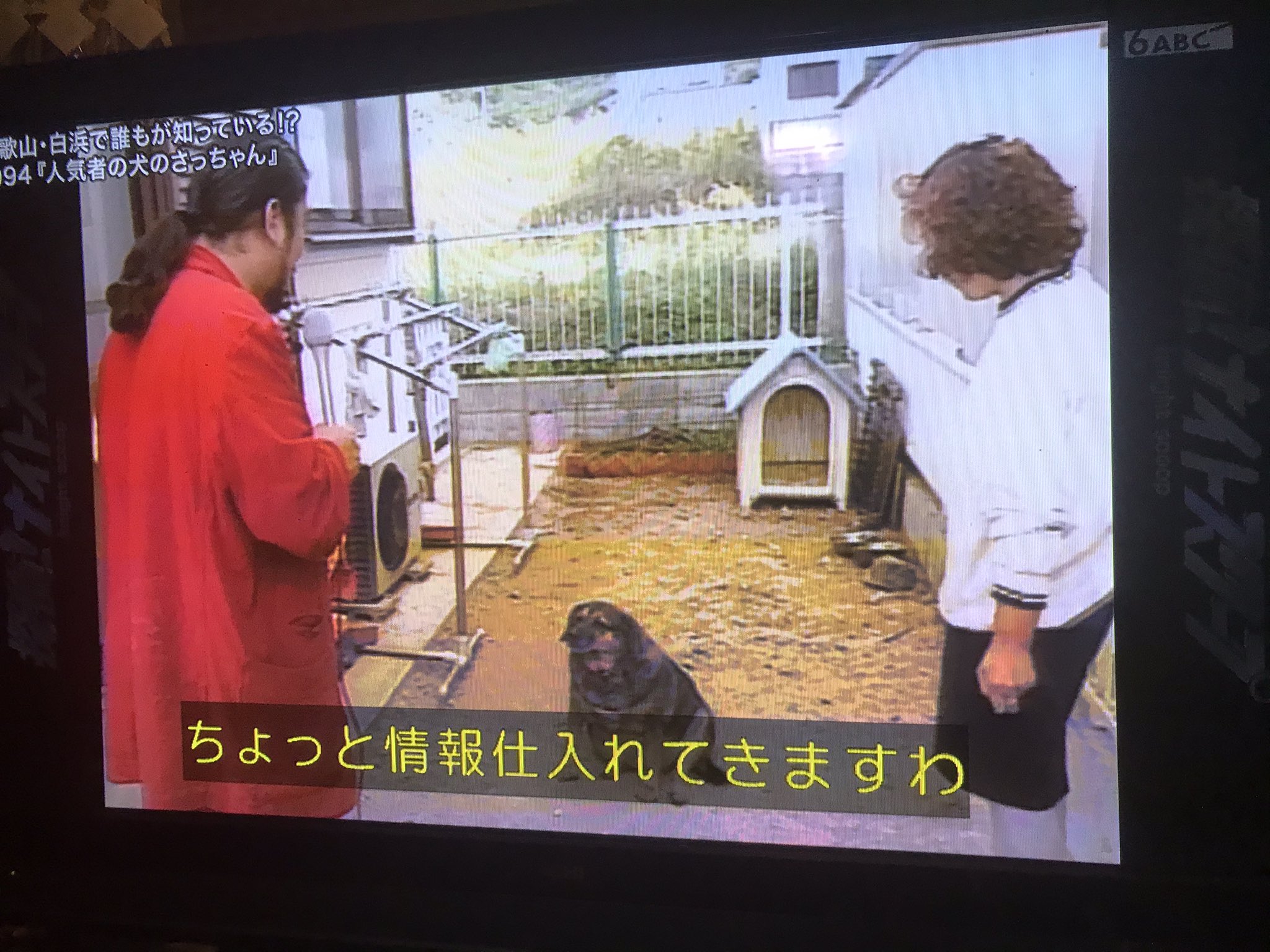 Twitter 上的 びっちー さっちゃん 懐 ナイトスクープ 探偵ナイトスクープ T Co Som0bsfsvk Twitter Twitter 上的 びっちー さっちゃん 懐 ナイトスクープ 探偵ナイトスクープ T Co Som0bsfsvk Twitter