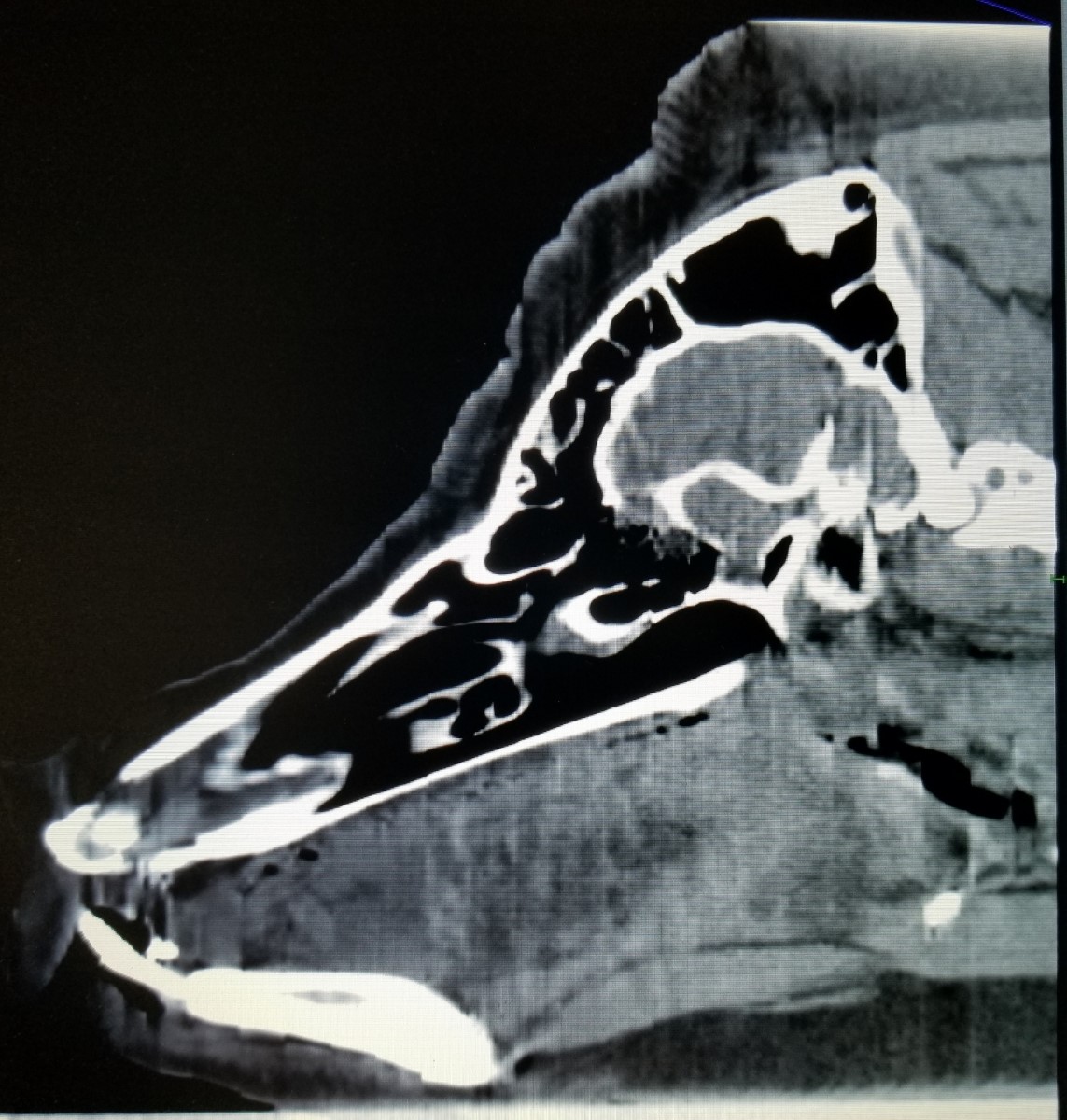 Neurologica_CT tweet picture