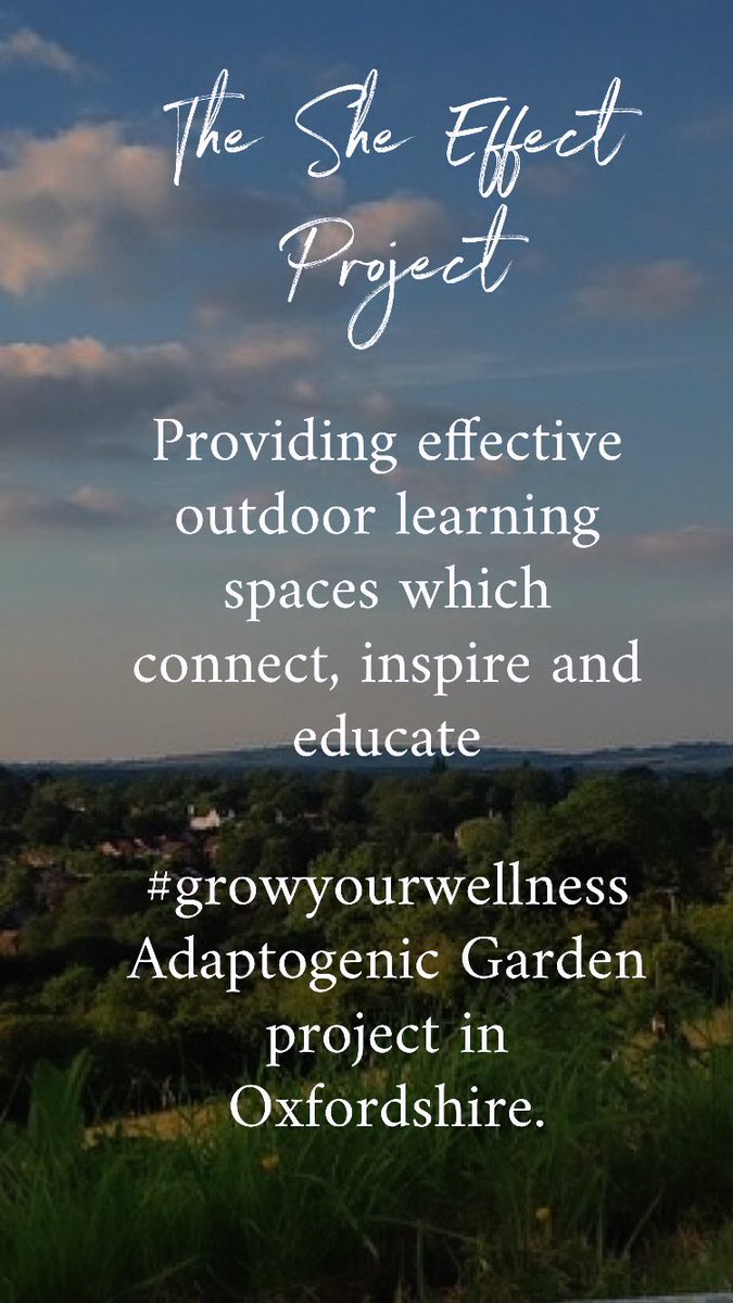 SheEffectOx's tweet image. Excited to be launching this new project