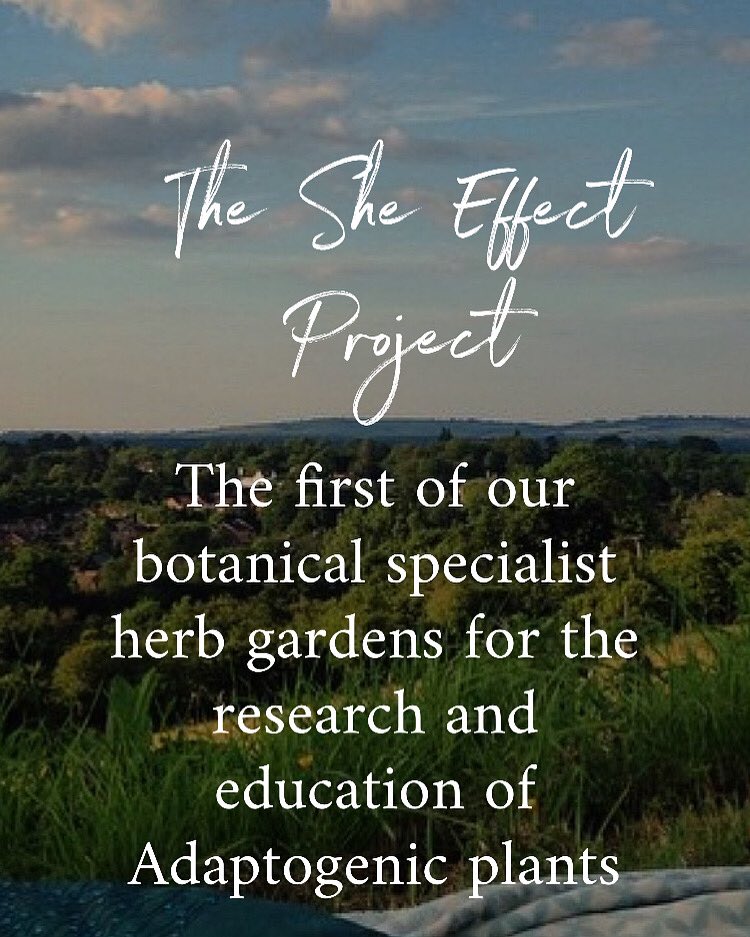 SheEffectOx's tweet image. First of its kind in Oxford