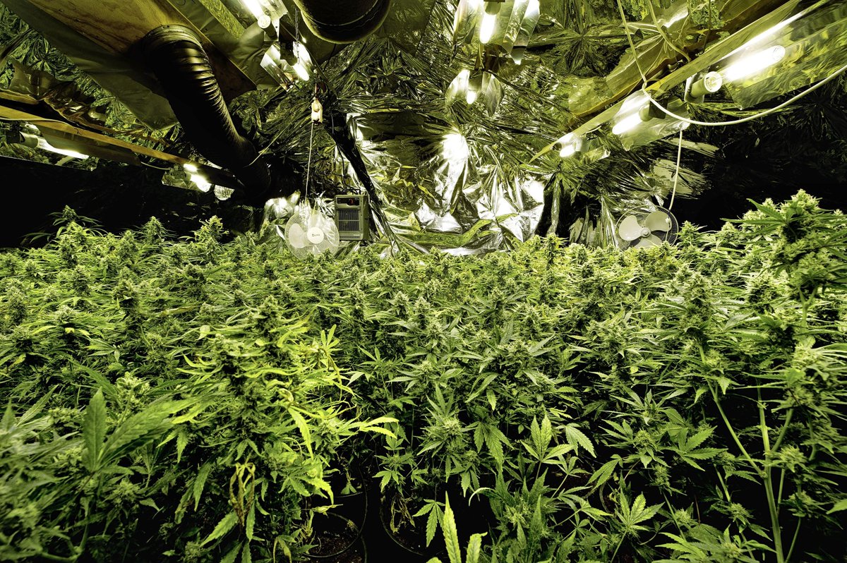 Bij een bedrijfspand gaat het inbraakalarm af.