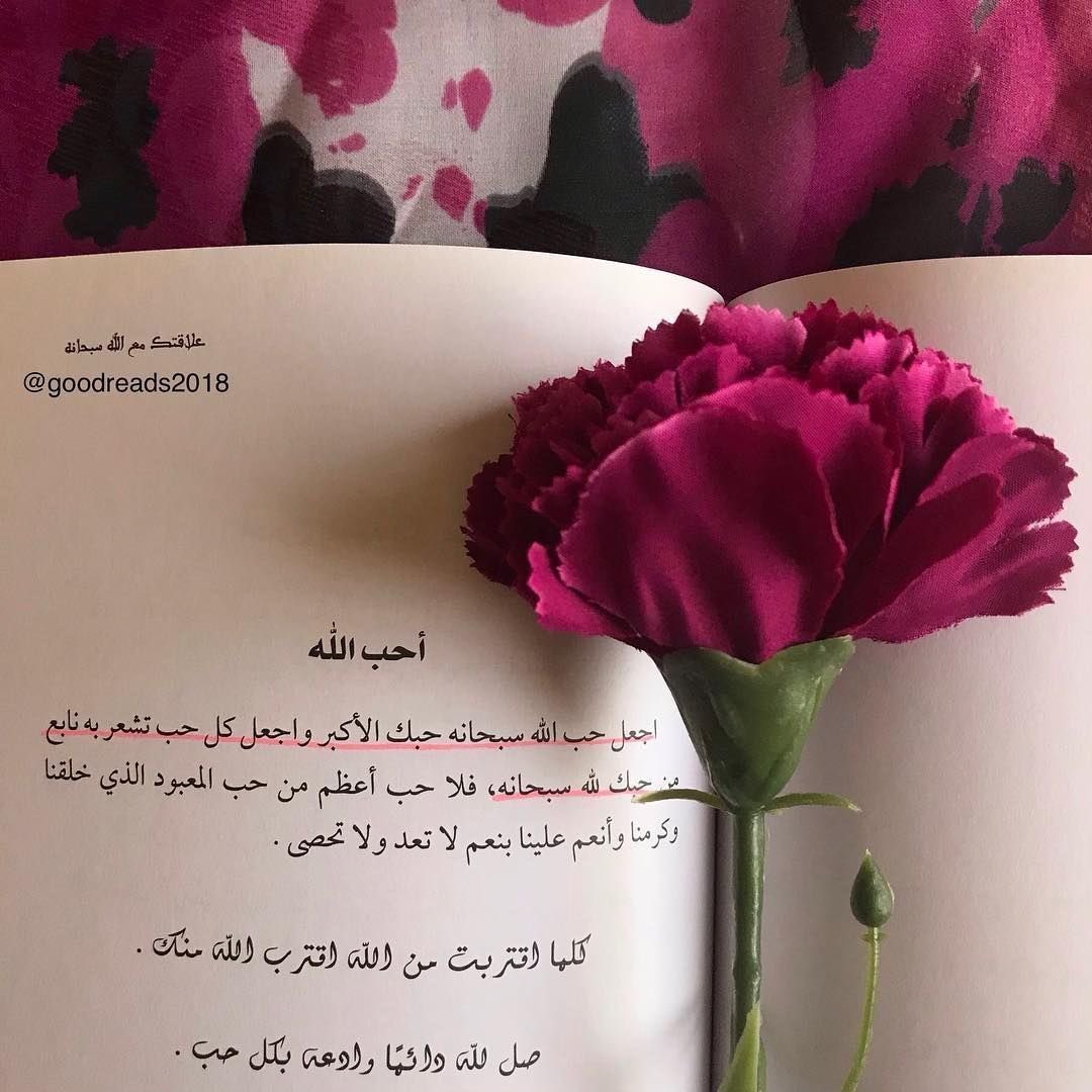 Al Mutairi Shaima tweet media