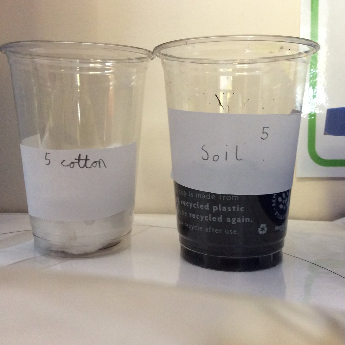 ChameleonsClass's tweet photo. We have been busy investigating germination in Science this week.  Each group planted two seeds, thinking about keeping a fair test by only changing one variable.  We are excited to see which germinate first next week. @meerkatsclass1 https://t.co/jr1tebVuqG