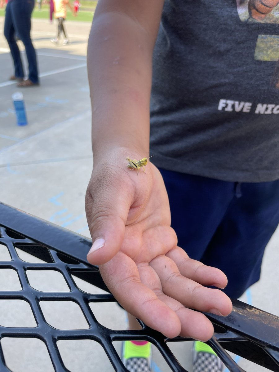 HernandezFinch's tweet photo. Enjoying nature with my summer school kiddos! https://t.co/ztNB0zydNJ