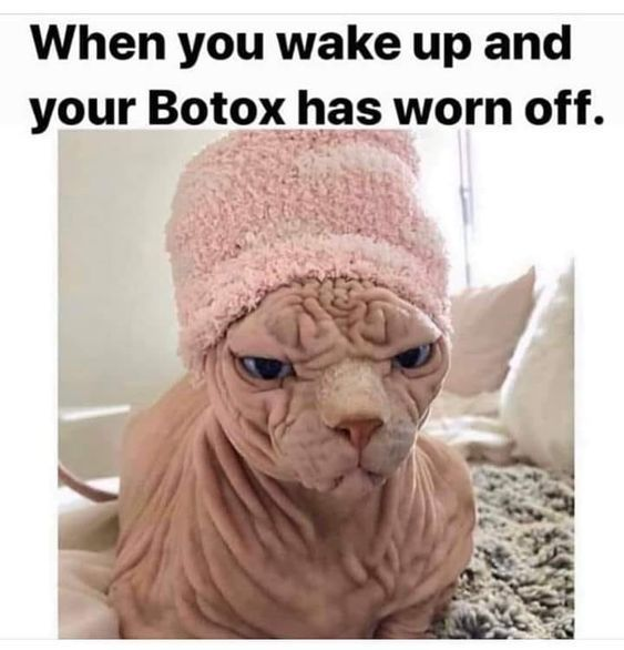 vitality_for's tweet photo. Get on the schedule for Botox. $50 off your first visit with minimum of 40 units. https://t.co/wgE9DMLewH