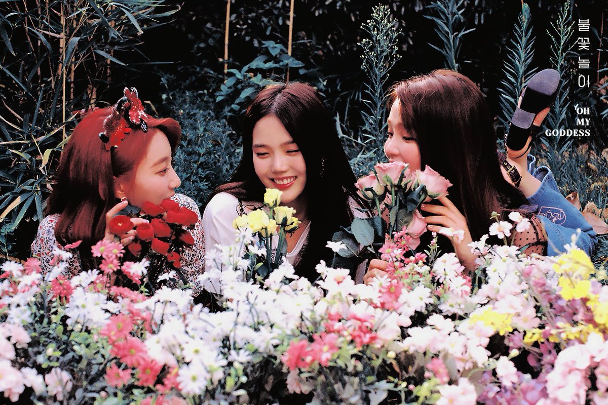 ohmygddss's tweet photo. ㅤ     
ㅤ       ㅤ( 🪐 ) 불꽃놀이 (𝗥𝗘𝗠𝗘𝗠𝗕𝗘𝗥 𝗠𝗘) — photo teaser concept 𝗼𝗻𝗲 📺 #DYRE + #AMETHYST + #MIDORI. https://t.co/SqBxBb9S1f