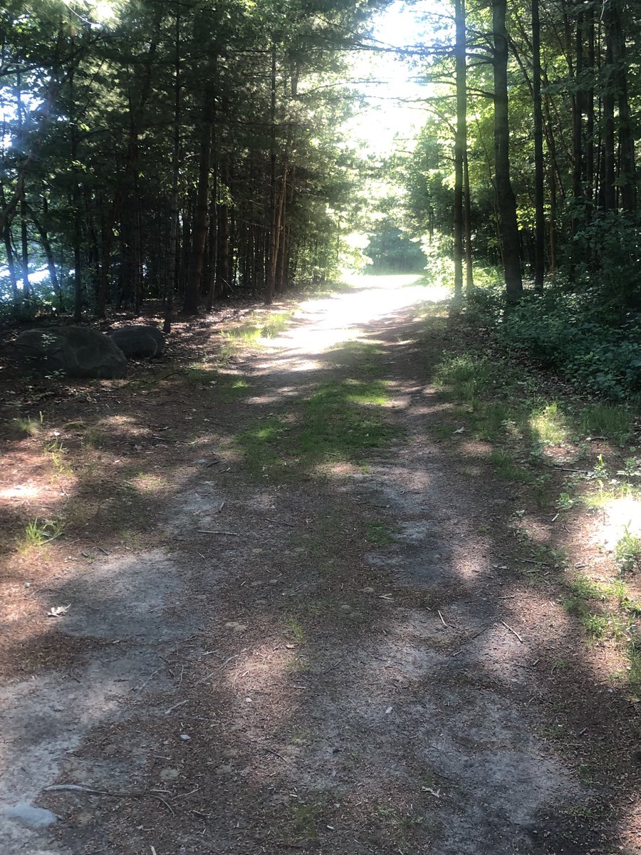 XC_Project's tweet photo. Ran on the Merrimack Trail this morning to make sure we are prepared for our first day of the XC Project on Wednesday July 7. Hard to believe we are less than 3 weeks away. Registrations continue to come in daily. #XCProject #trails #summertraining https://t.co/QTv2PNa7qL