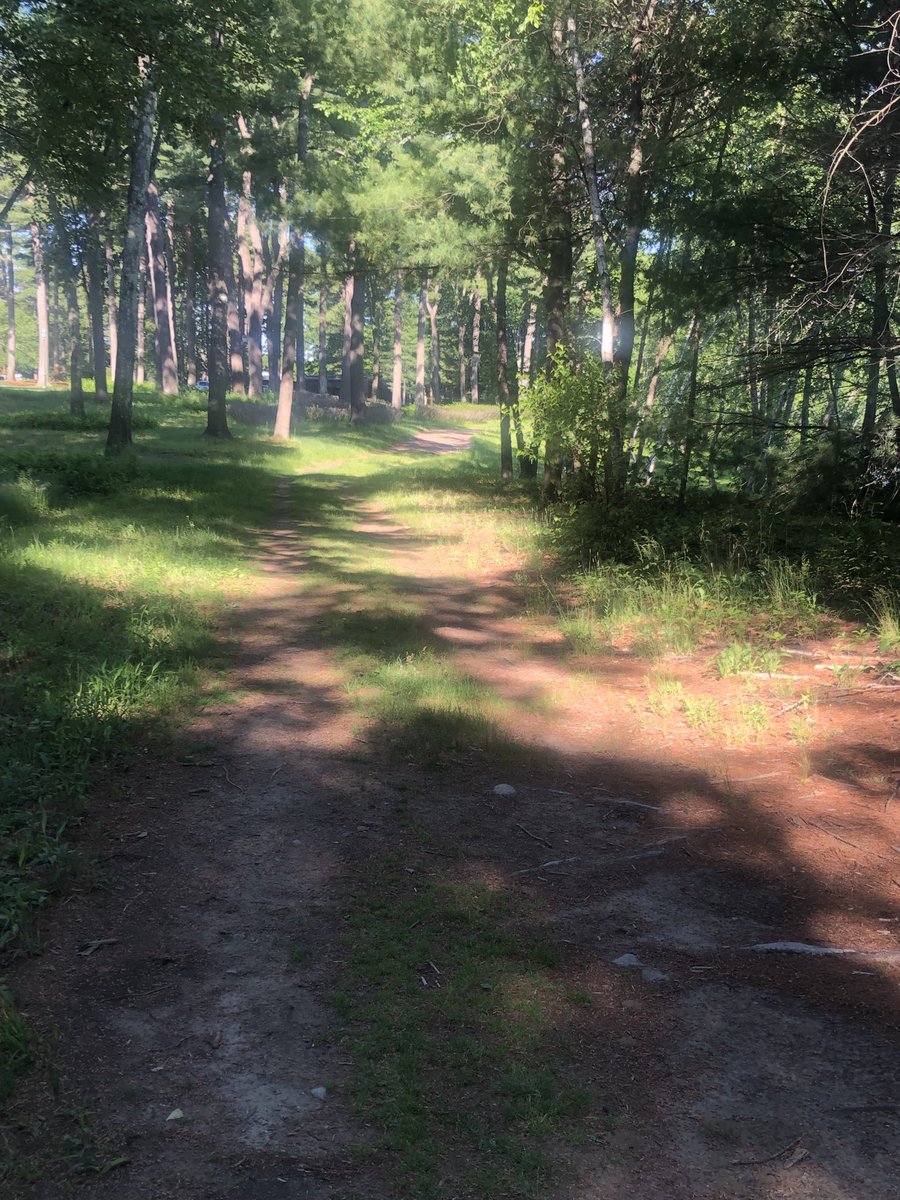 XC_Project's tweet photo. Ran on the Merrimack Trail this morning to make sure we are prepared for our first day of the XC Project on Wednesday July 7. Hard to believe we are less than 3 weeks away. Registrations continue to come in daily. #XCProject #trails #summertraining https://t.co/QTv2PNa7qL