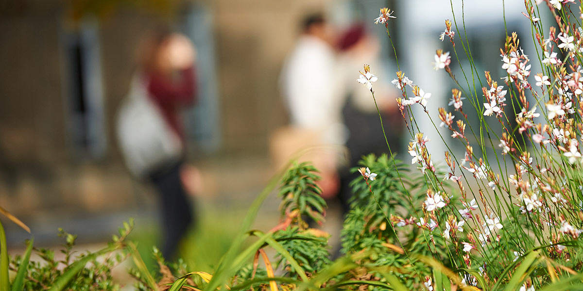 Content Warning - This post and link discuss themes of sexual violence. Sexual violence and harassment of any form is never, ever acceptable. Today we publish the first of many updates on how the University is tackling this hugely important issue ow.ly/KQJr50FdyMD