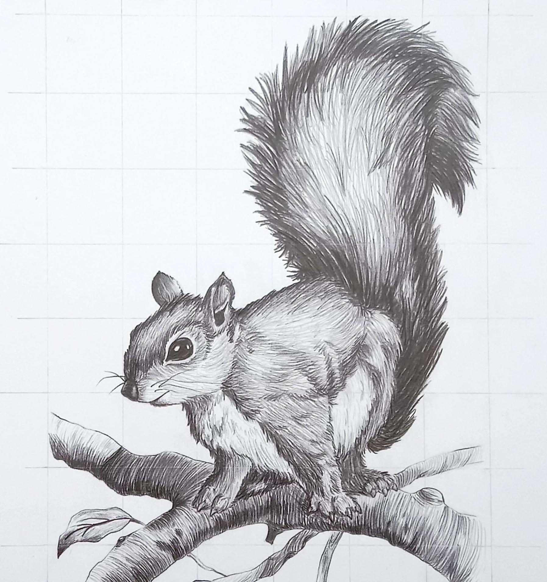 I'm Not Crazy - Squirrel 1